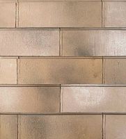 Клинкерная плитка Пайер-01/5