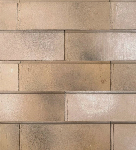 Клинкерная плитка Пайер-01/5